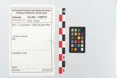 Foto von Textil (NHMW-PRAE-125717)